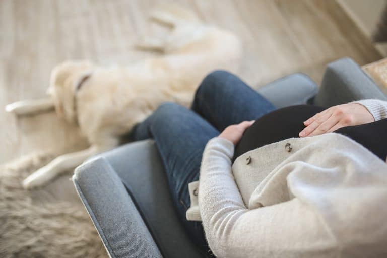 Comment devenir une mère porteuse ou une porteuse gestationnelle pour un ami